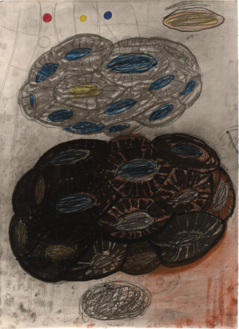 Folio 4.png
