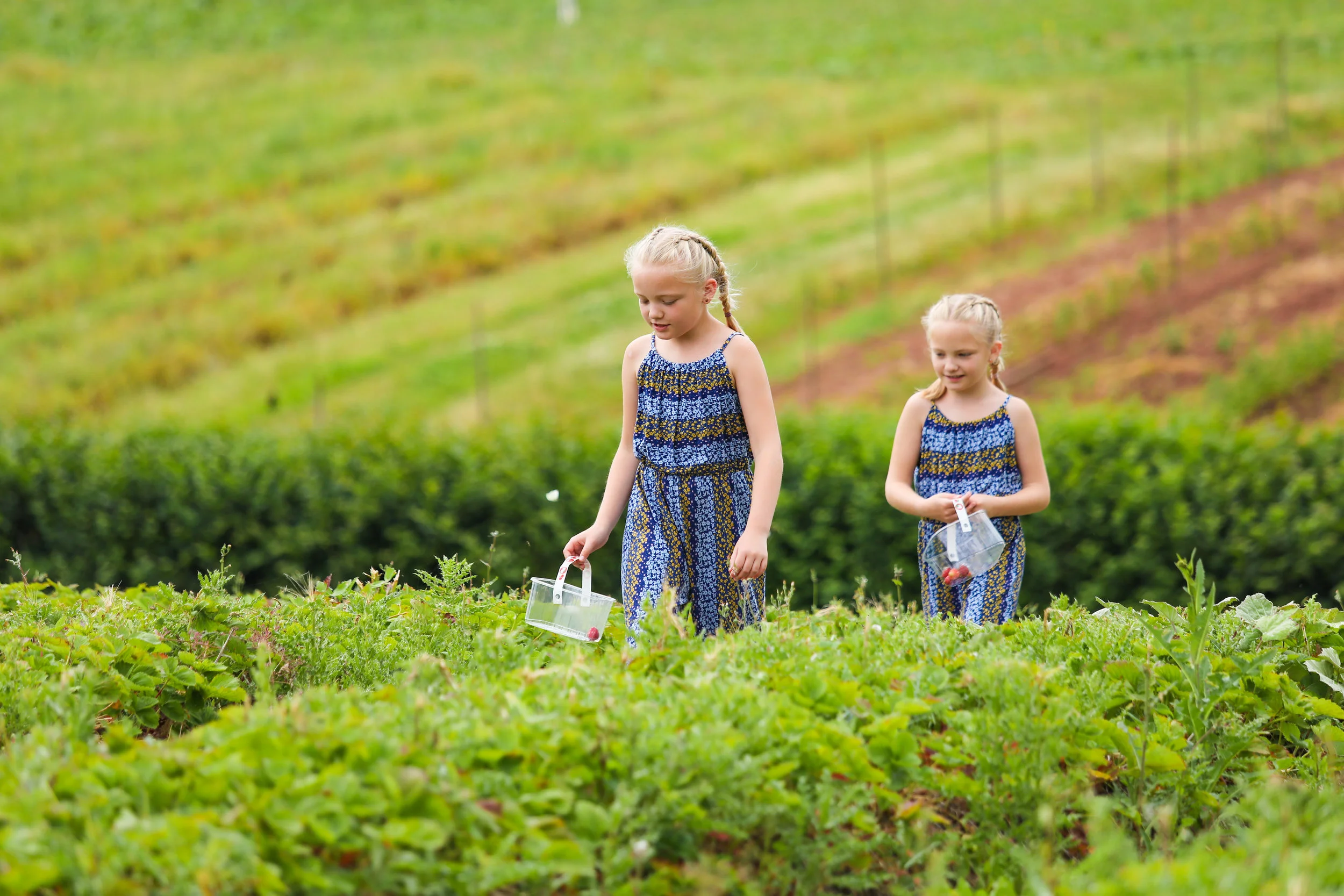 Commercial Photography, Shropshire