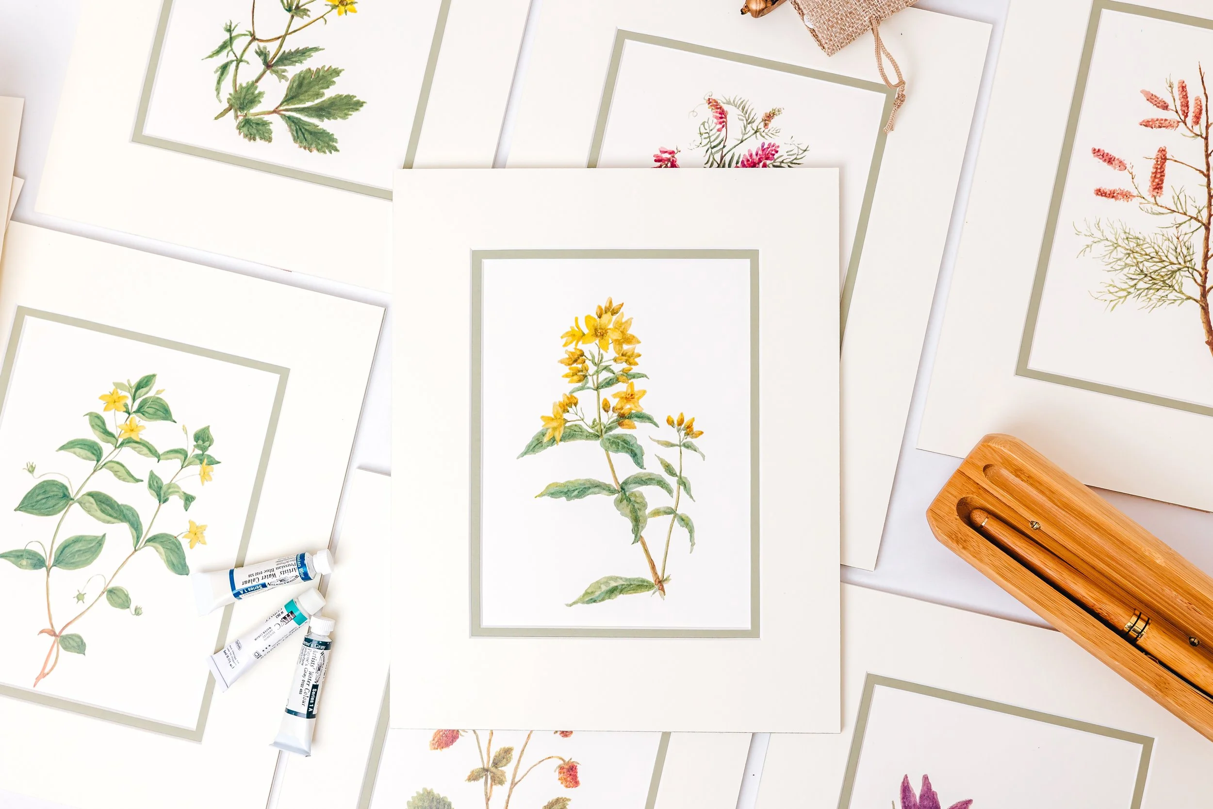 Product Photography, Shropshire
