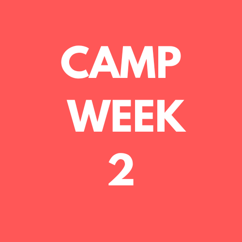 week 2 camp.png