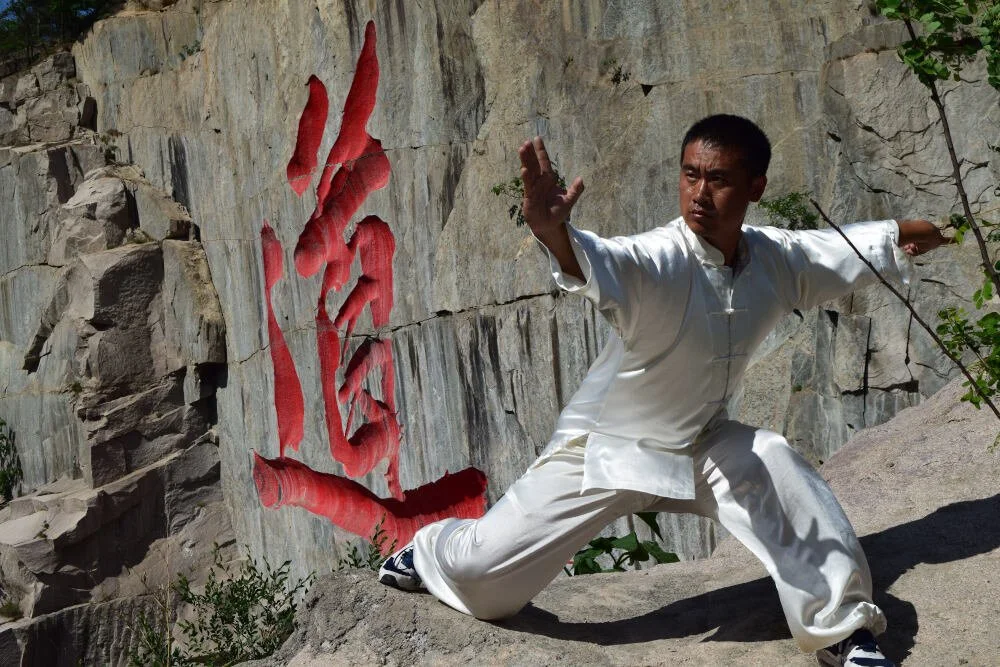 Master the Art of Mantis Boxing at Wei Hai Kung Fu Academy