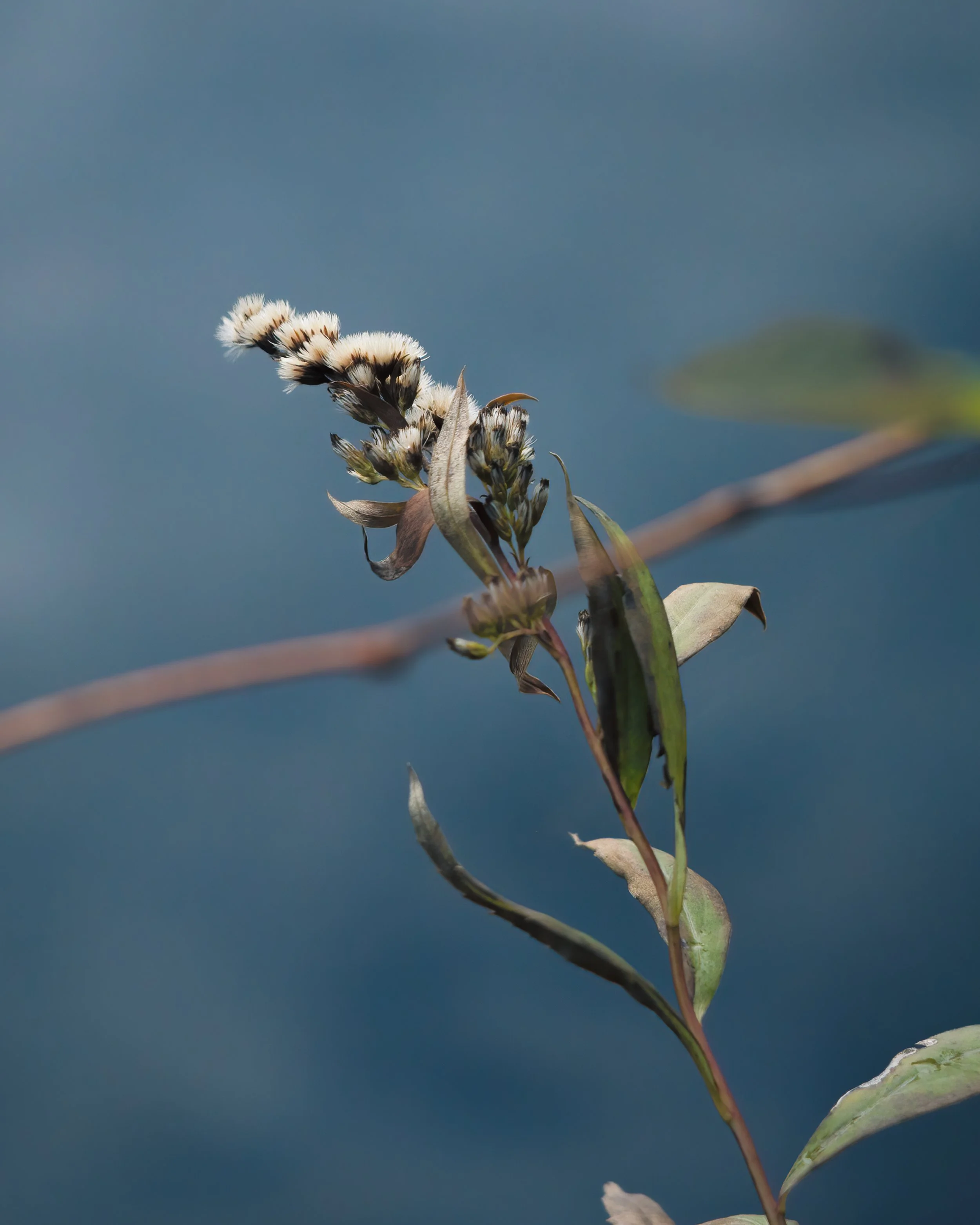 Nature-Meditations_Photo-0145.jpg