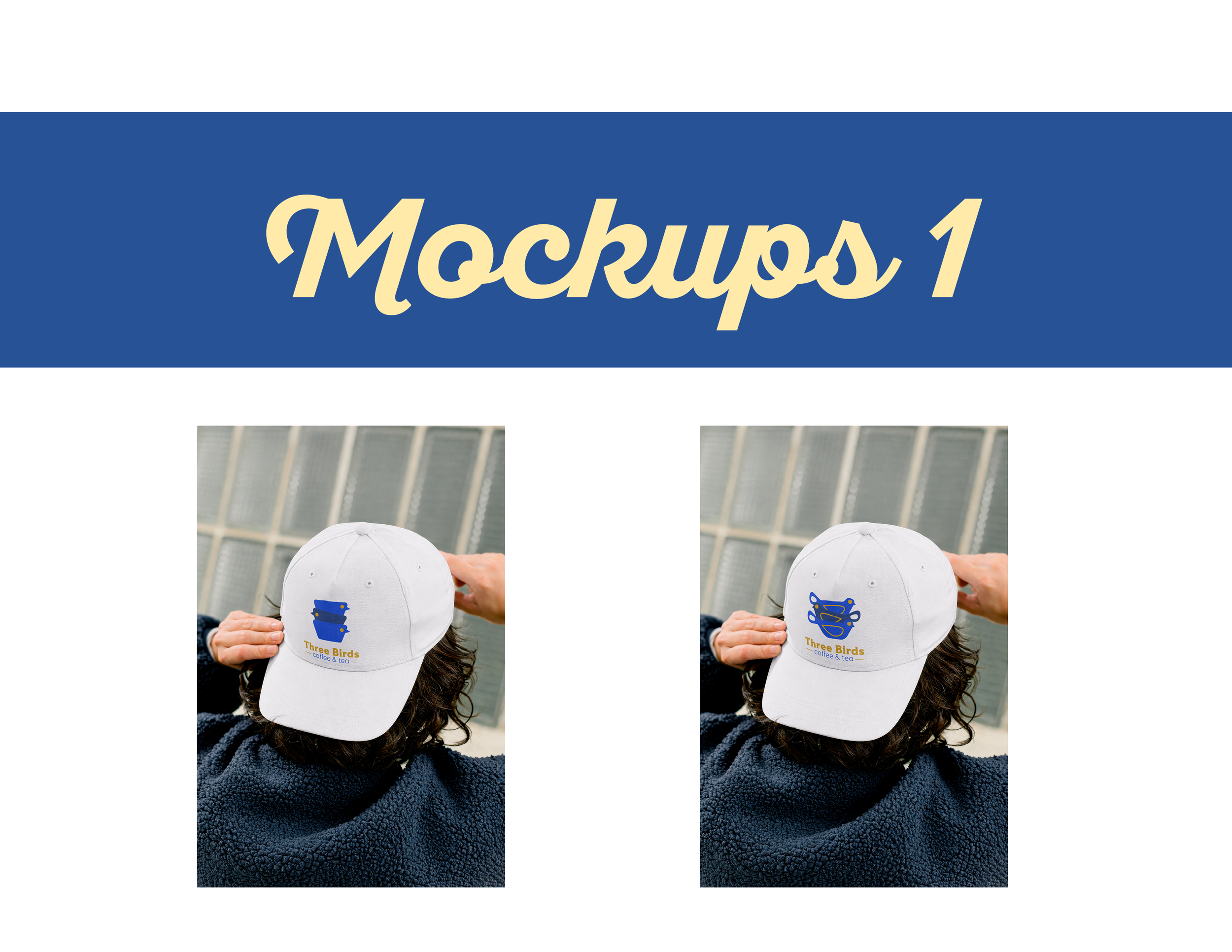 Three-Birds-Brand-Pitch8.png