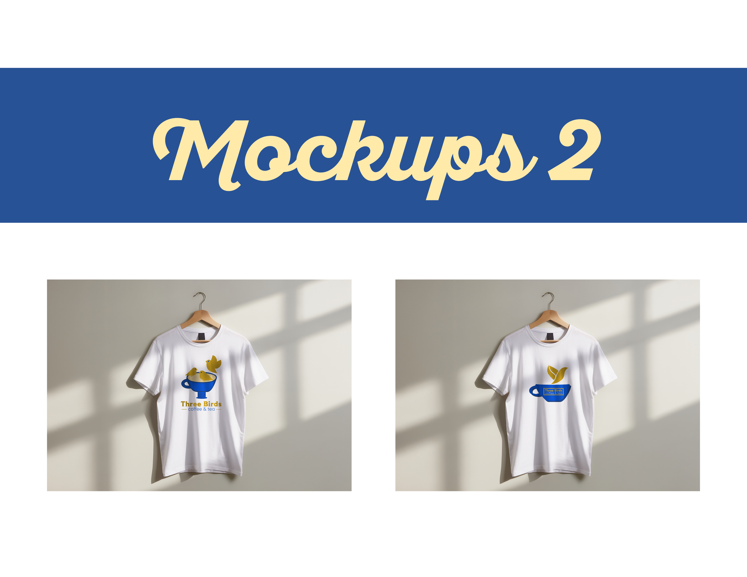 Three-Birds-Brand-Pitch9.png