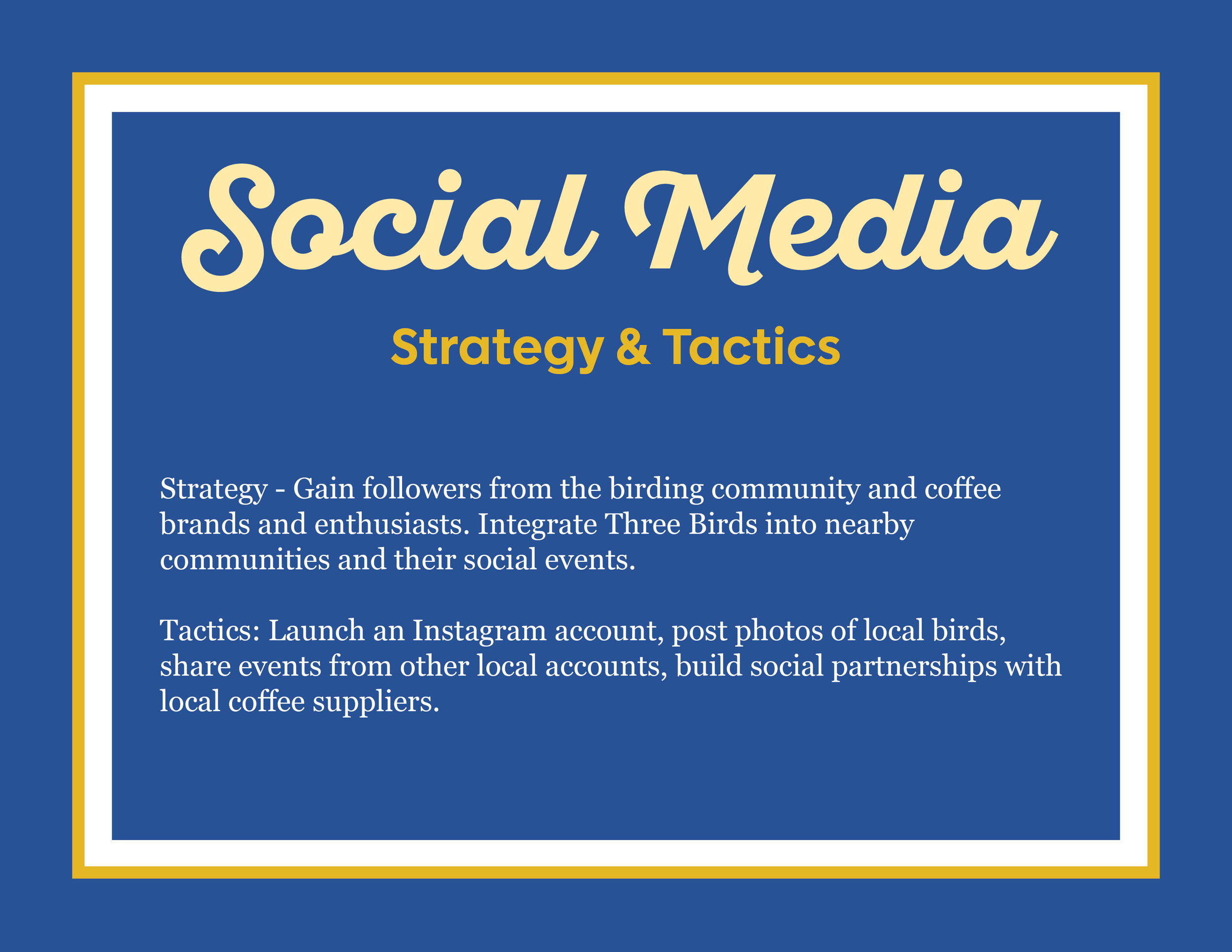 Three-Birds-Brand-Pitch11.png