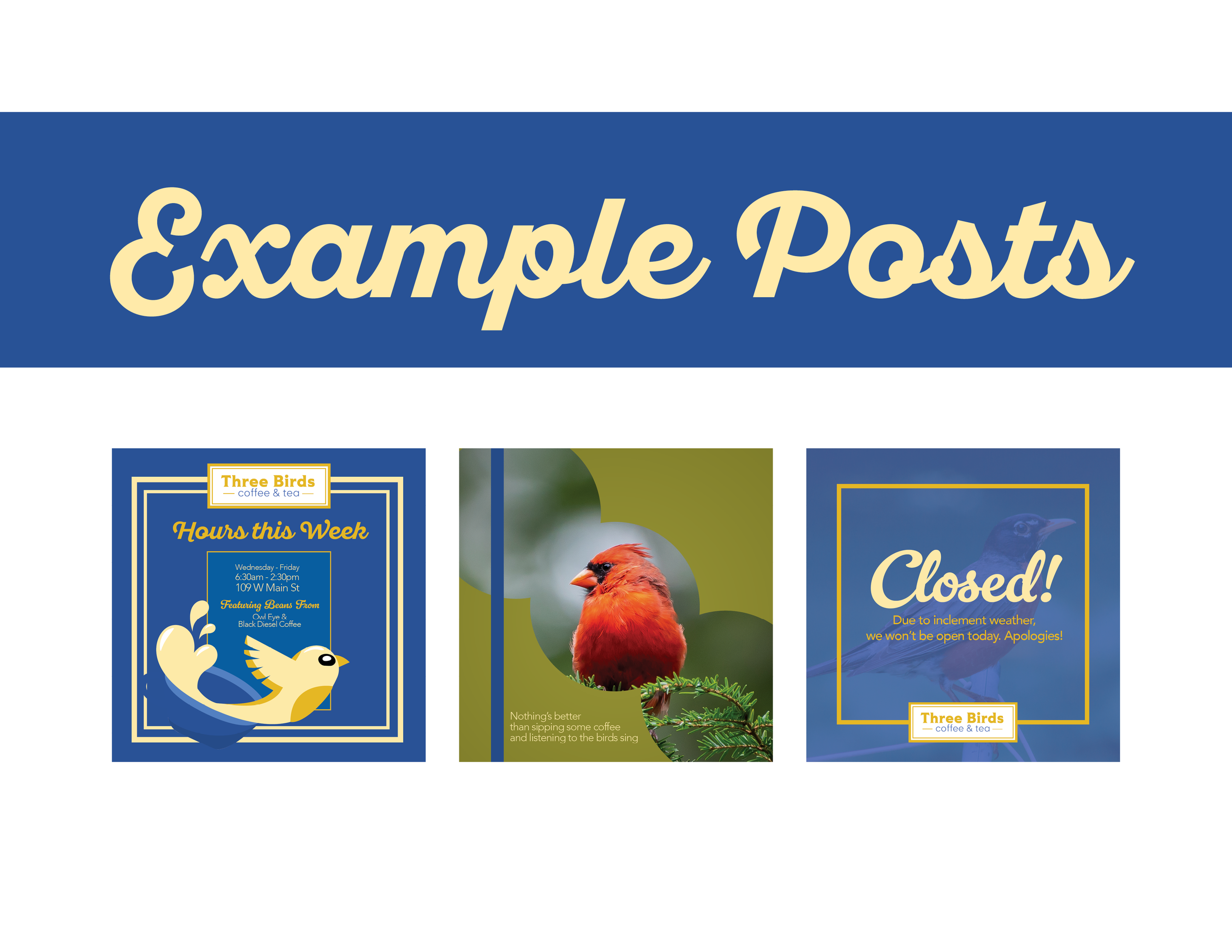 Three-Birds-Brand-Pitch12.png