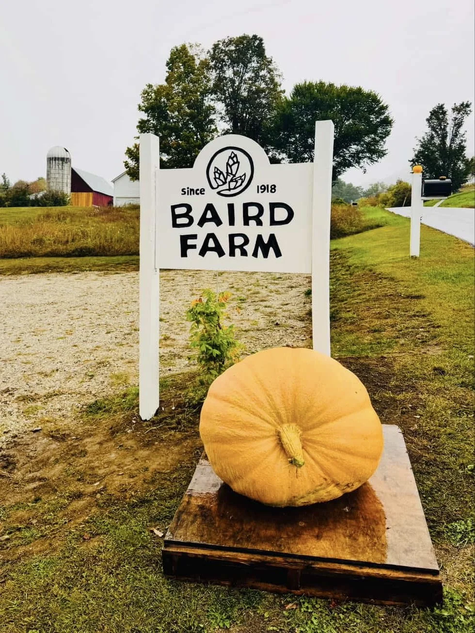 1E32D40C-4F8C-472D-9F91-E832C068059E 3.jpg