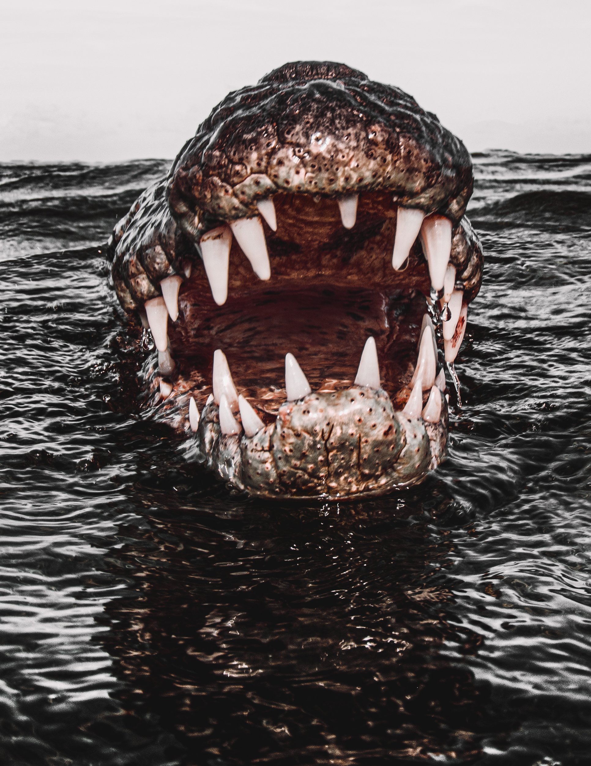 untitled-2334-Edit.jpg