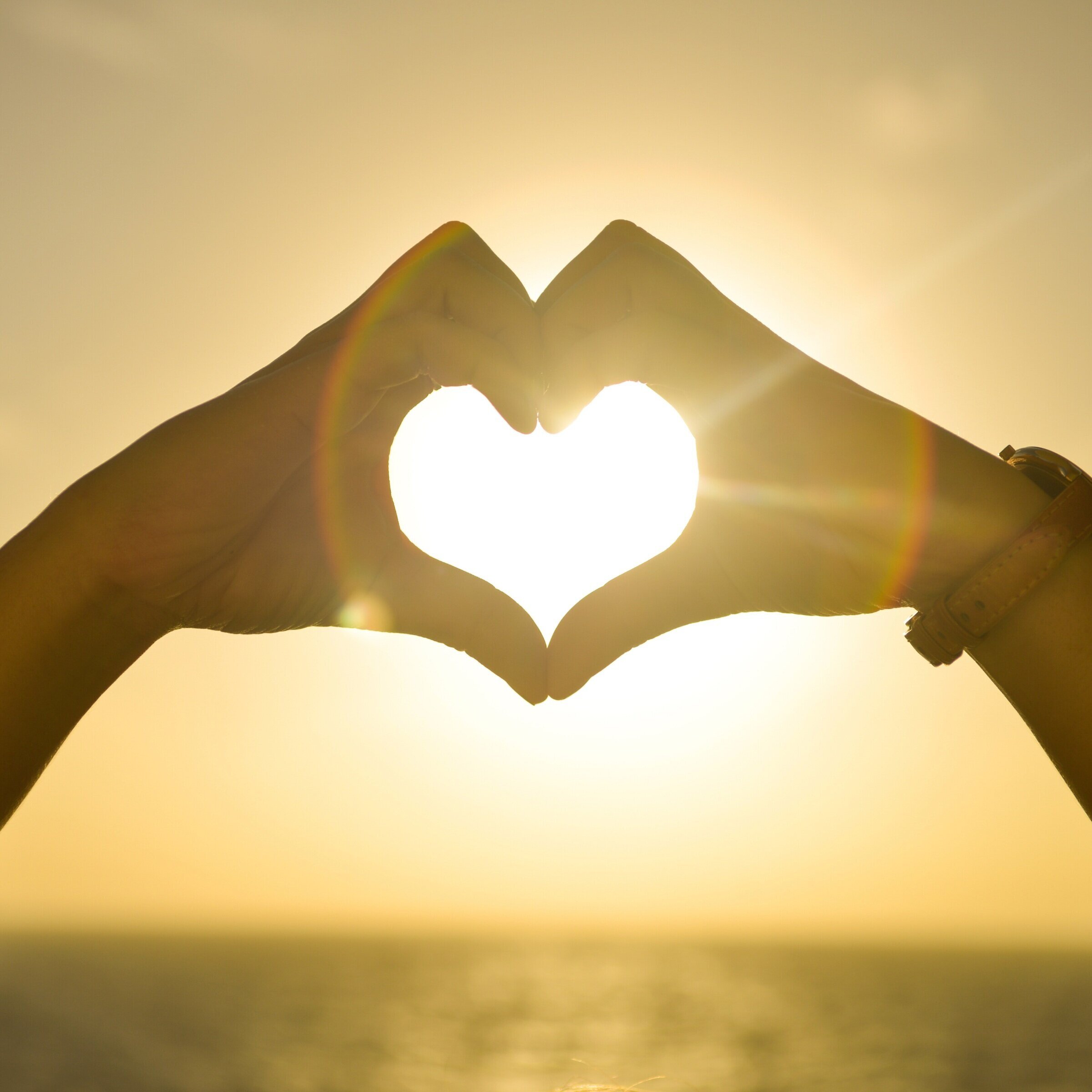 Heart Health and Contraception