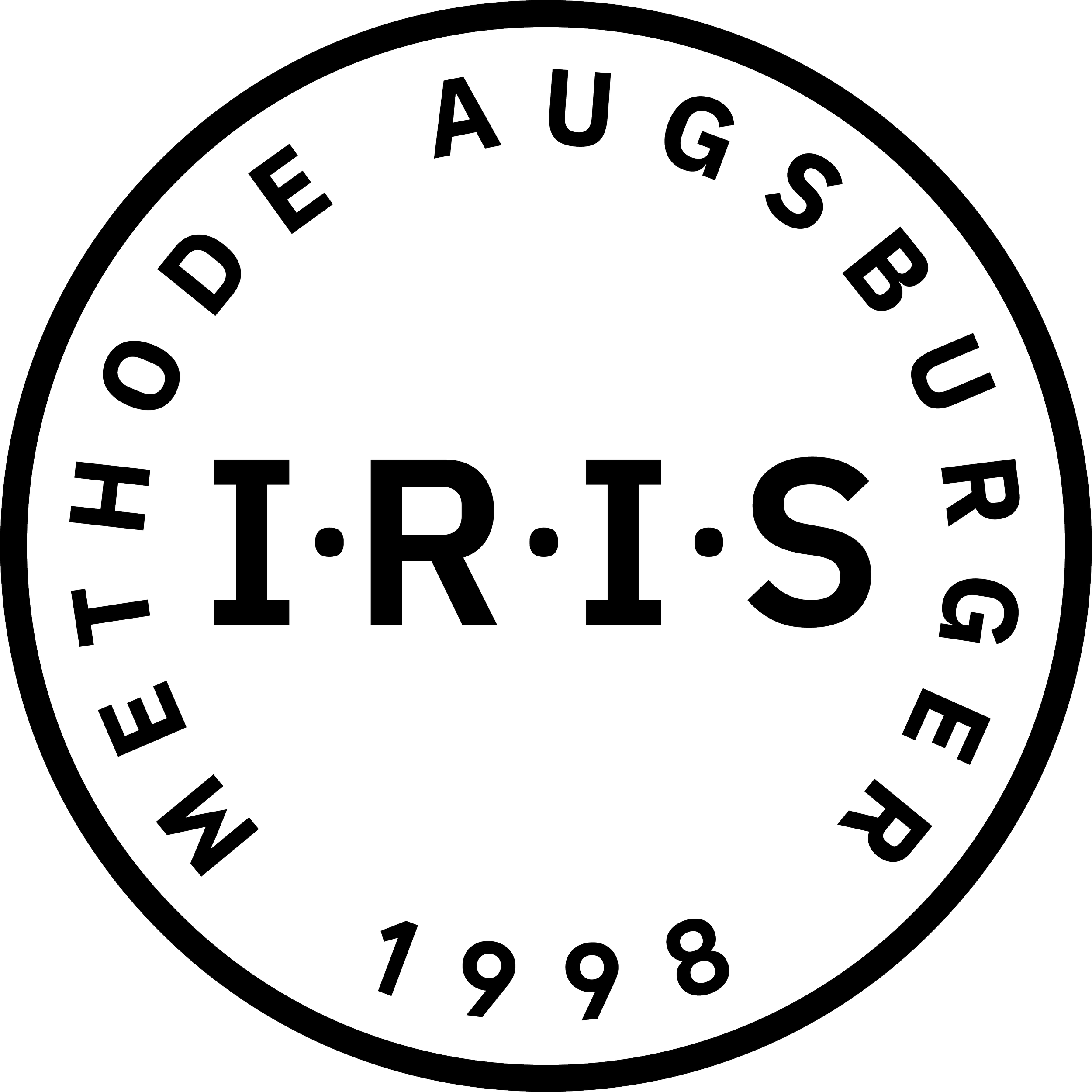Logo_IRIS_RGB_POS.png