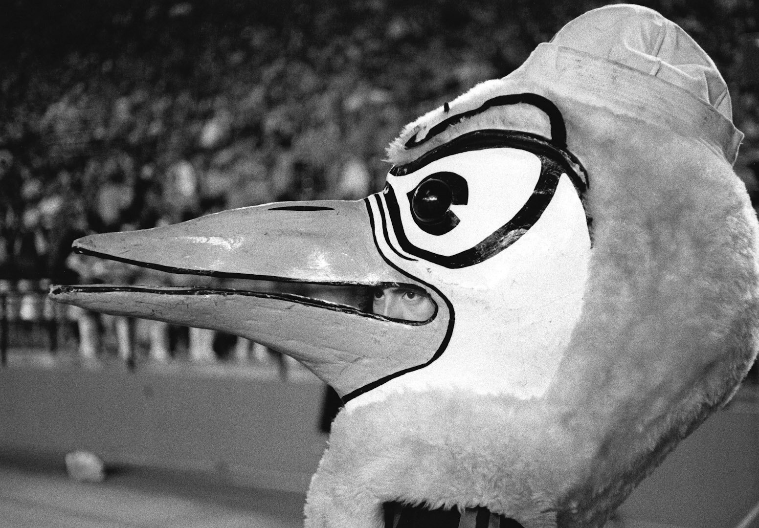 Mascot Orange Bowl, Florida