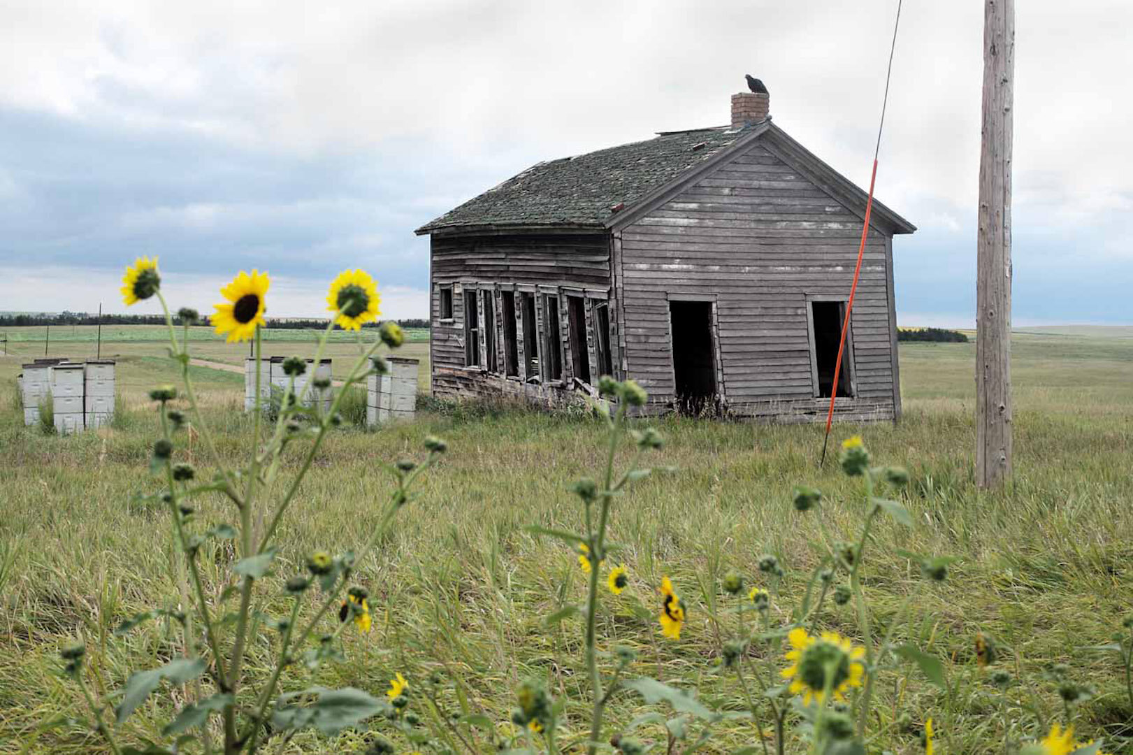 Presho, South Dakota