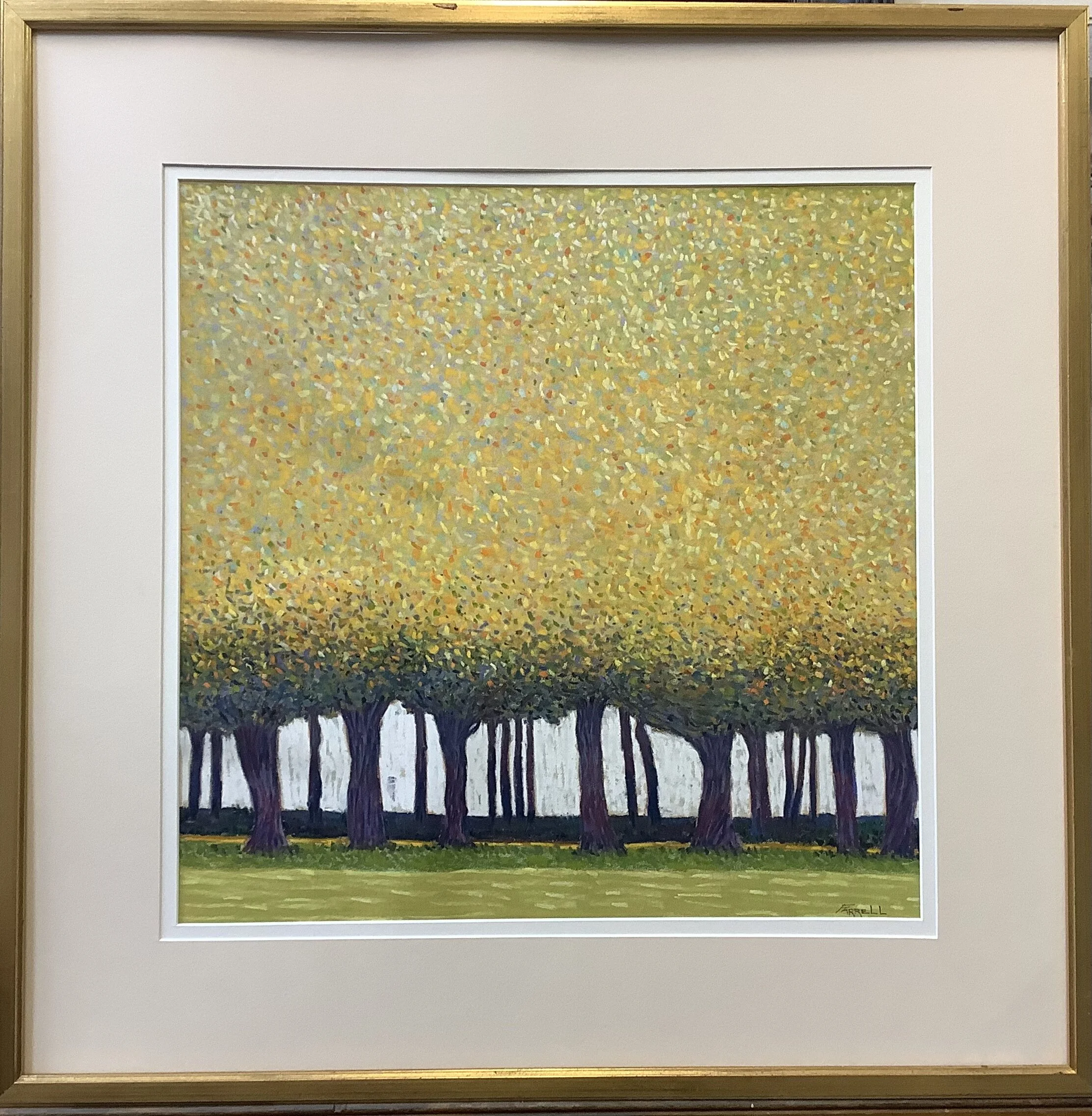 8A5A27A8-639B-4E2F-B137-2873ED297CDF