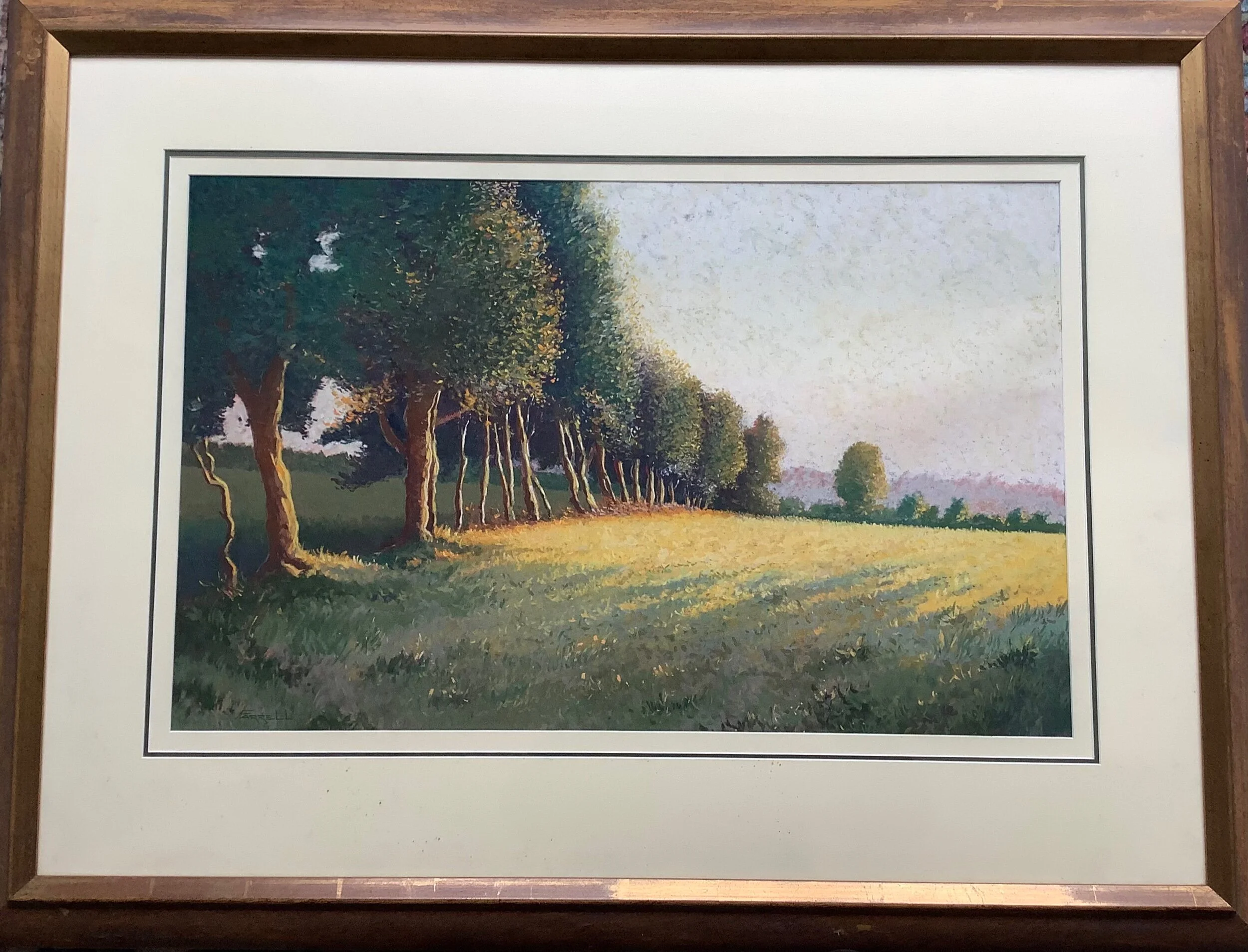 833A888F-CECD-4776-9640-4F8966D5A6DB