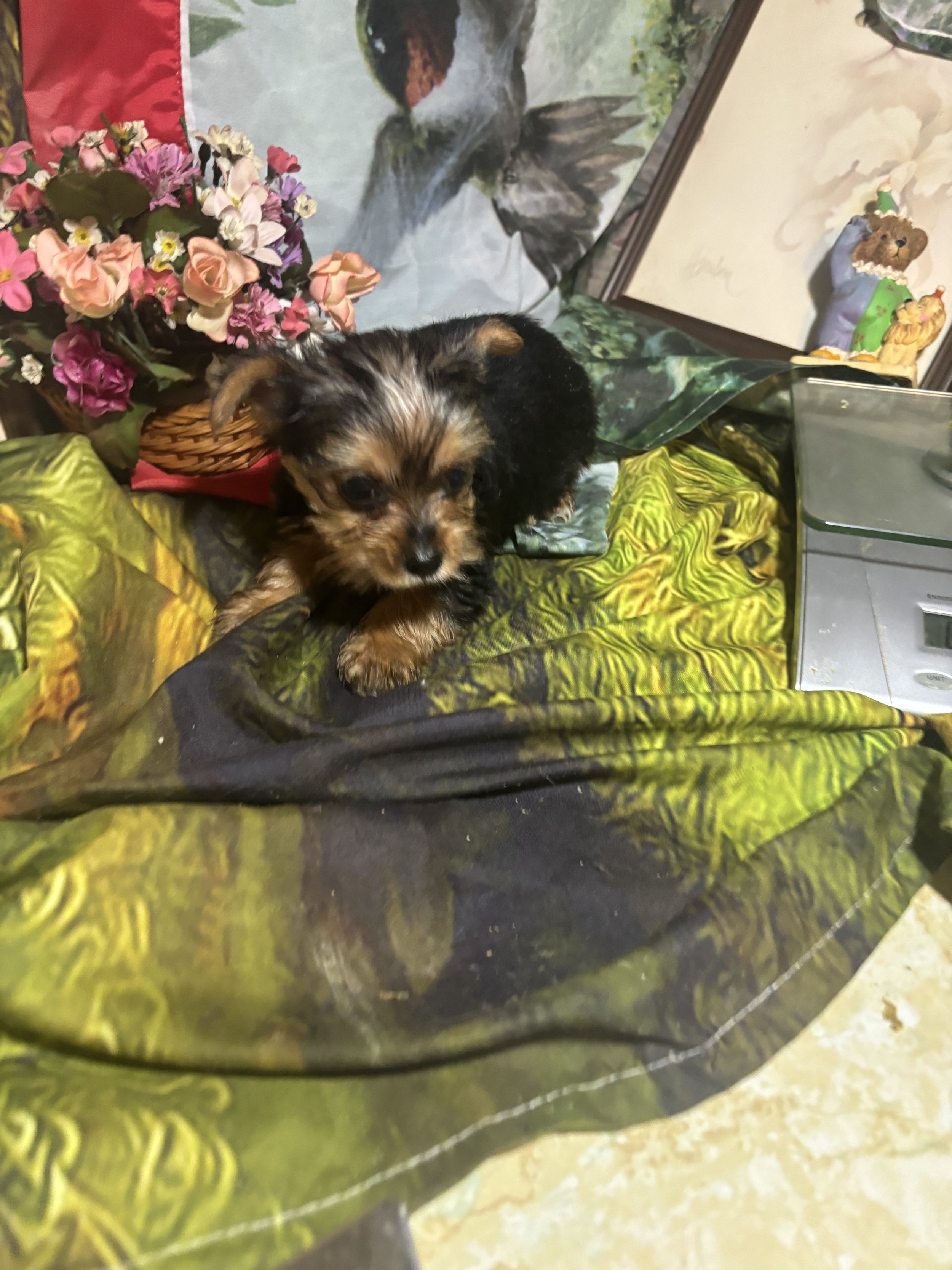 IMG_1861.jpeg