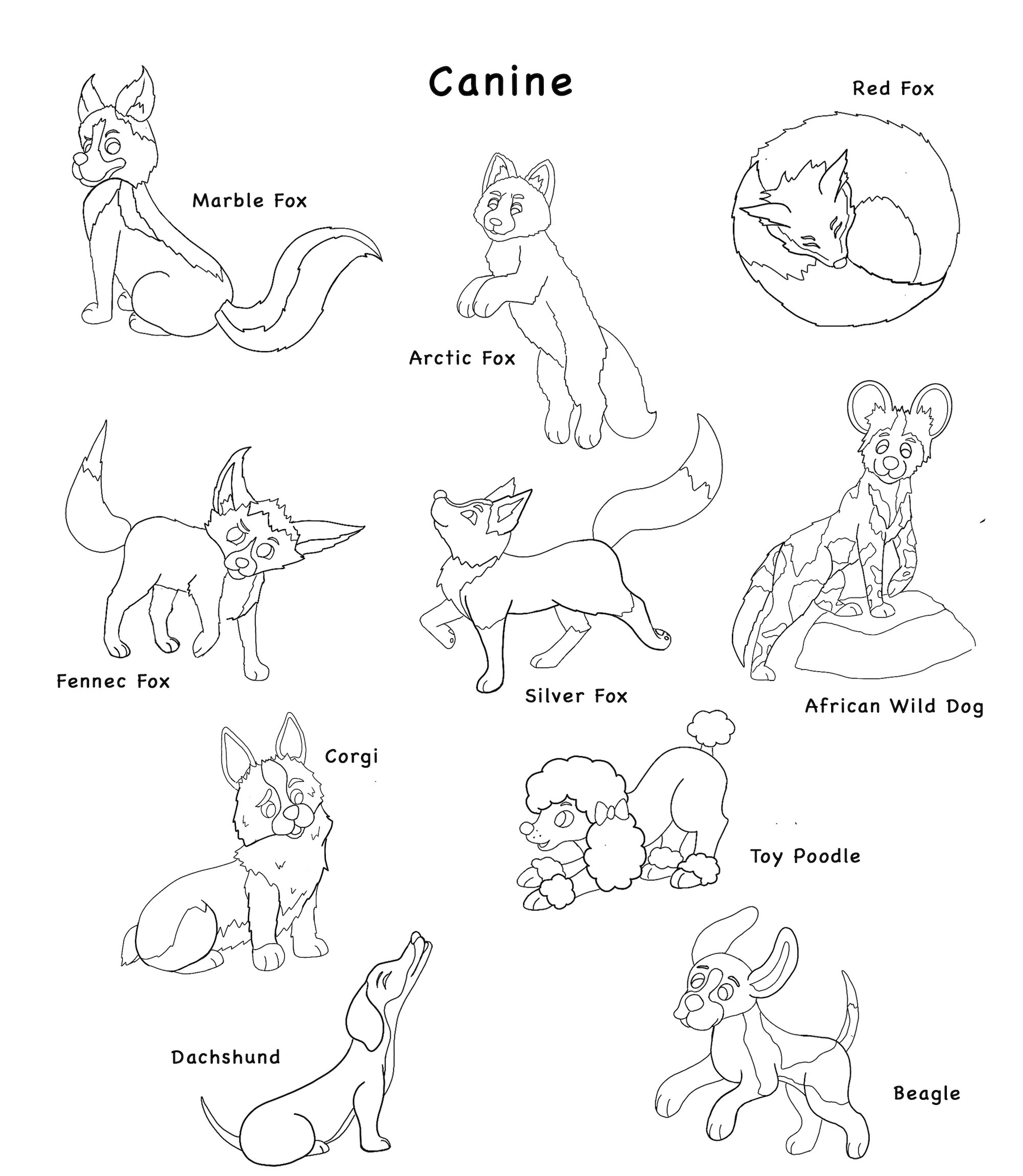 Canine copy.jpg