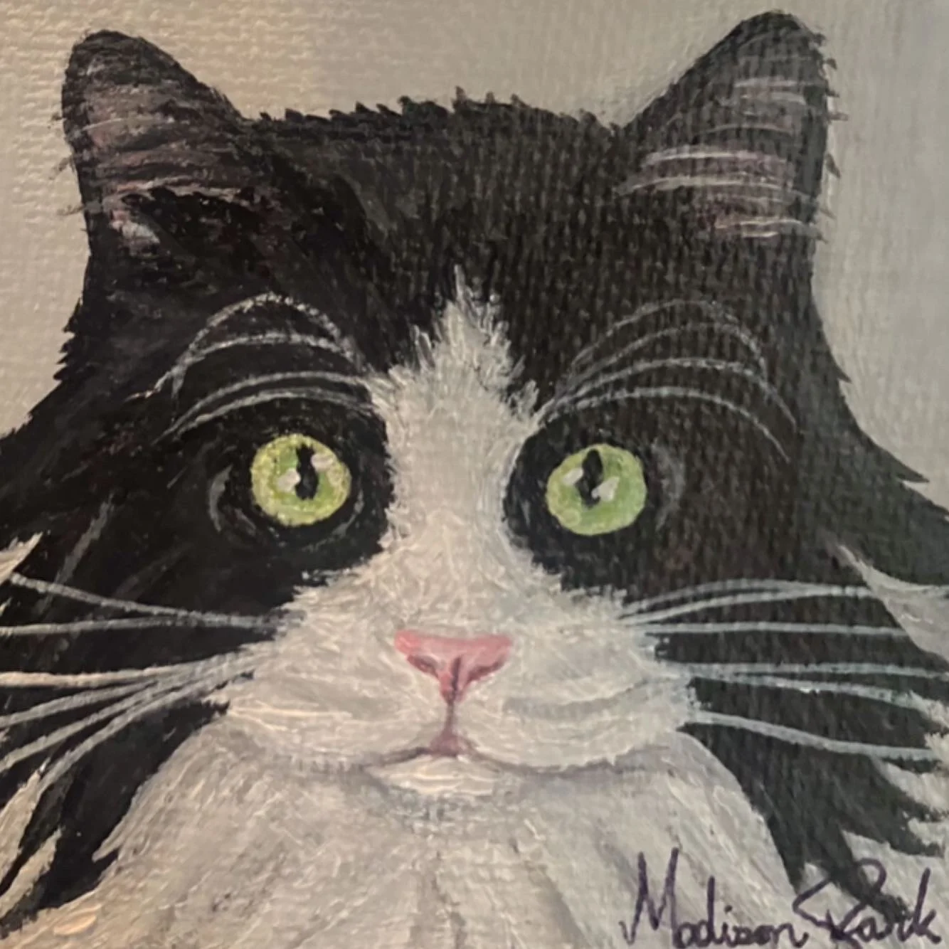 Prince Charming1.JPG