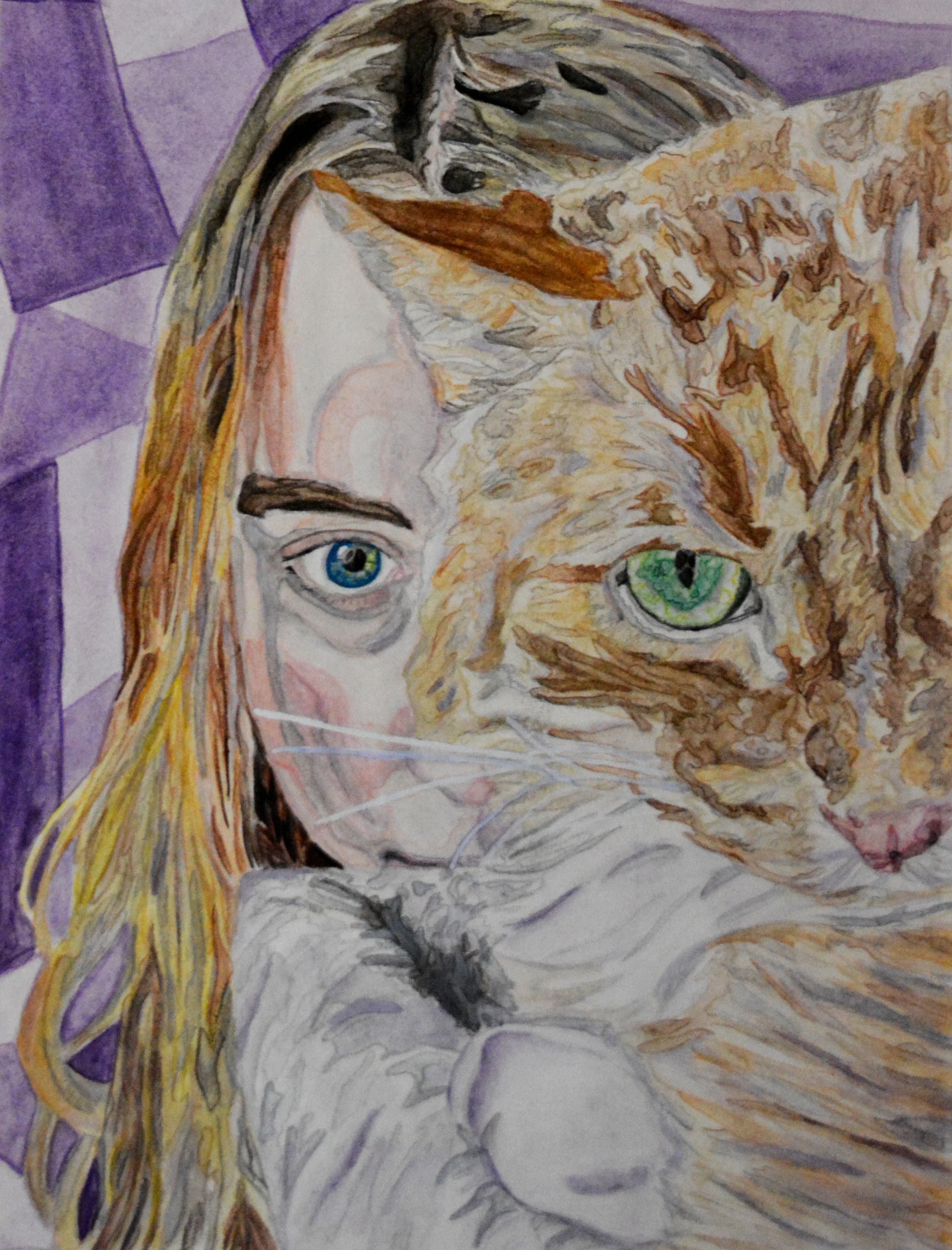 A-Cats-Eye-View copy.jpg