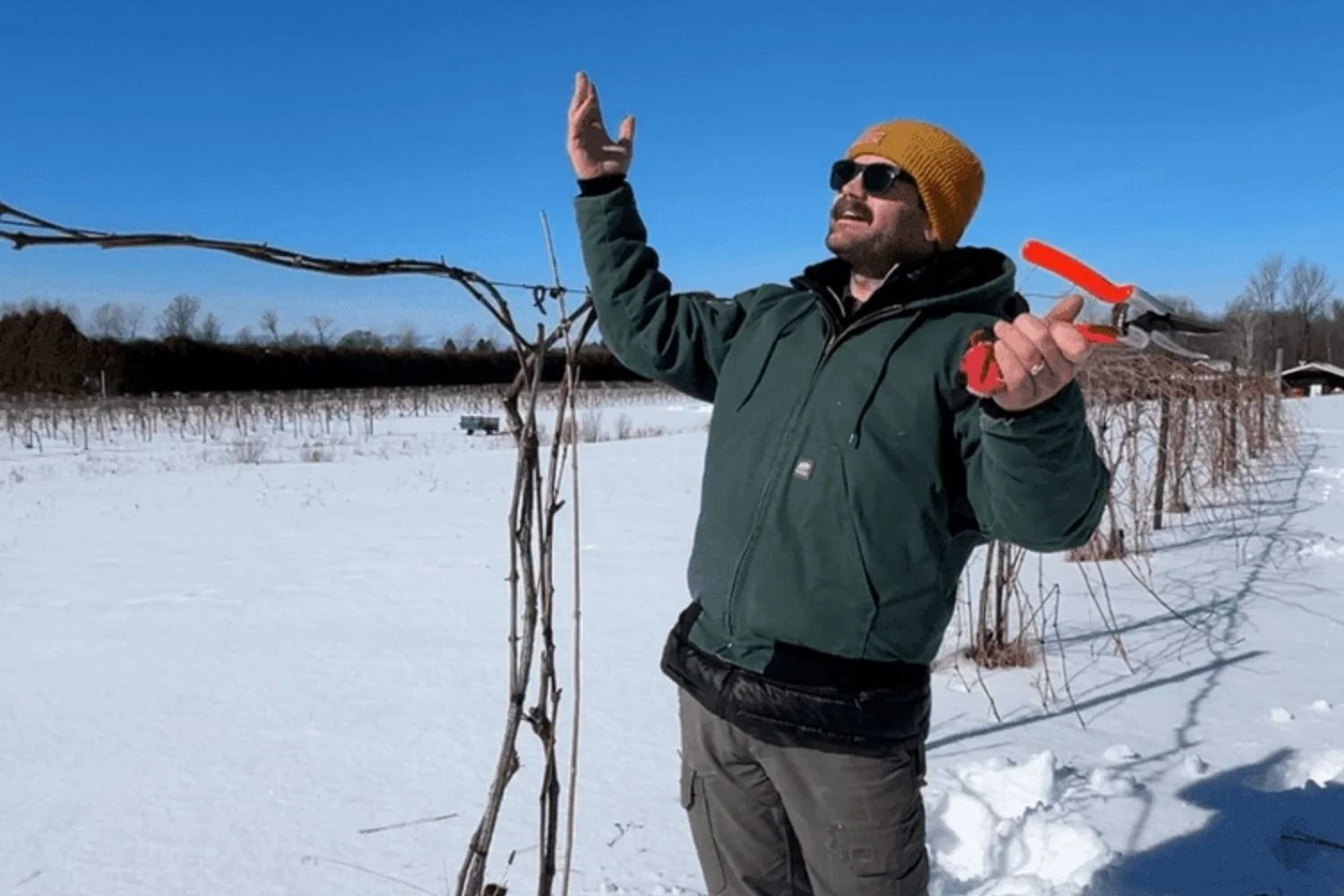 Co-owner and winemaker Kevin Bednar basks in the sunshine of a bluebird winter day in the vineyard as they kick off pruning for the 2026 vintage.