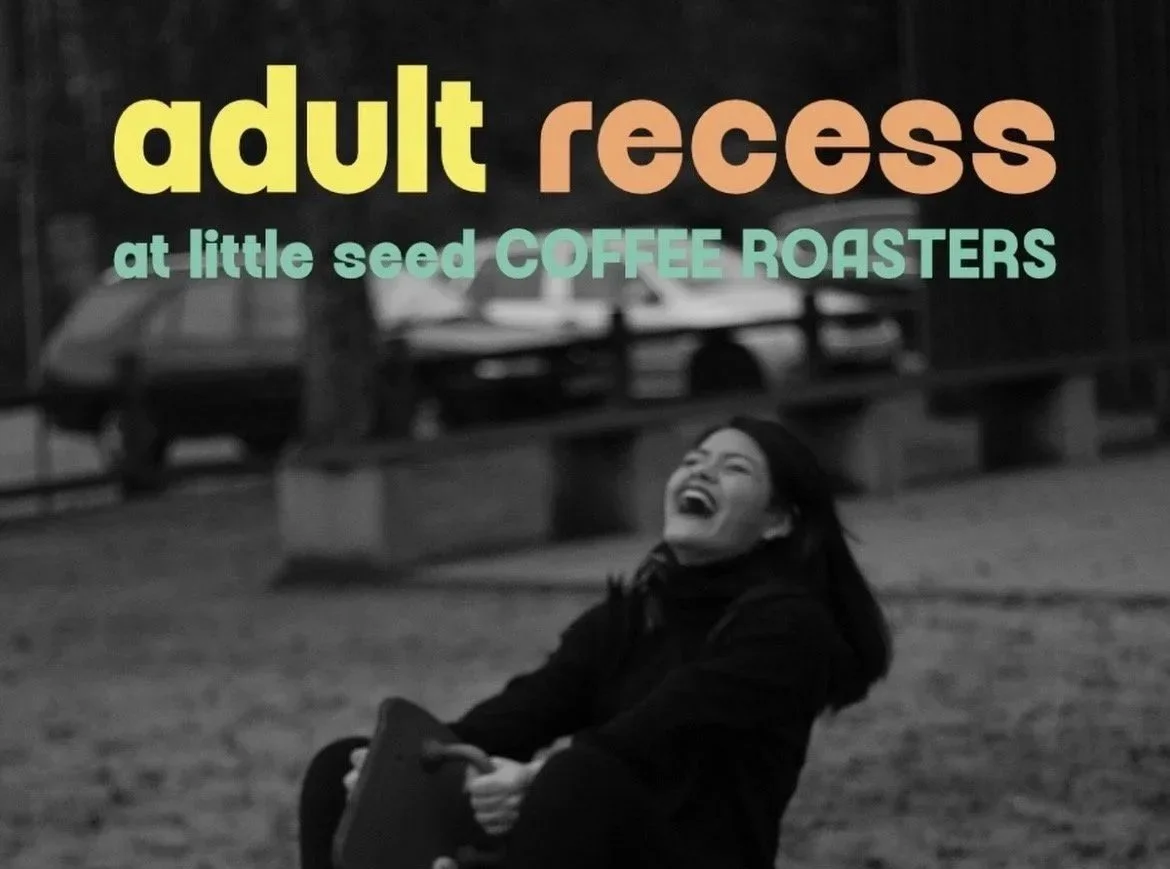 Adult Recess