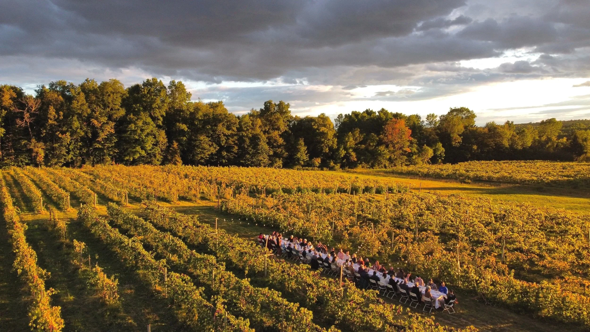 WM Dinner Aerial.jpg