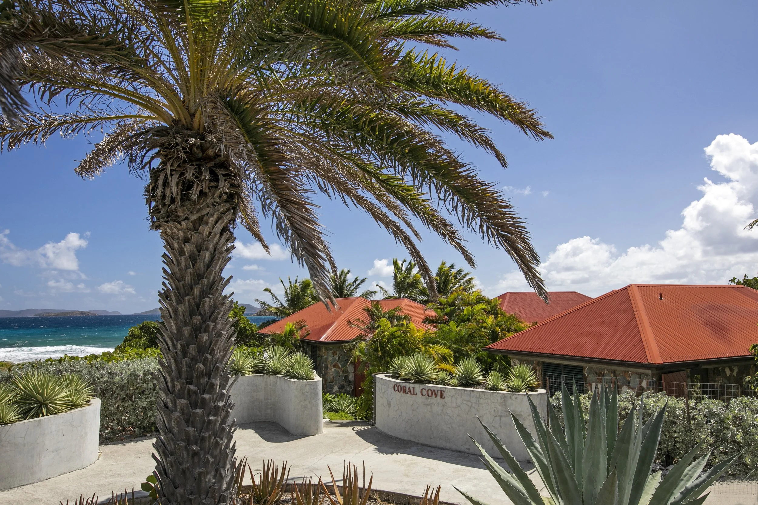 CoralCove-63.jpg