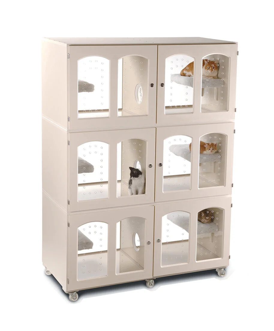 shock collar for great dane