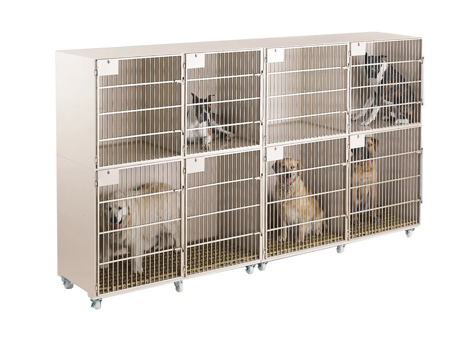 large+animals+cage.jpg