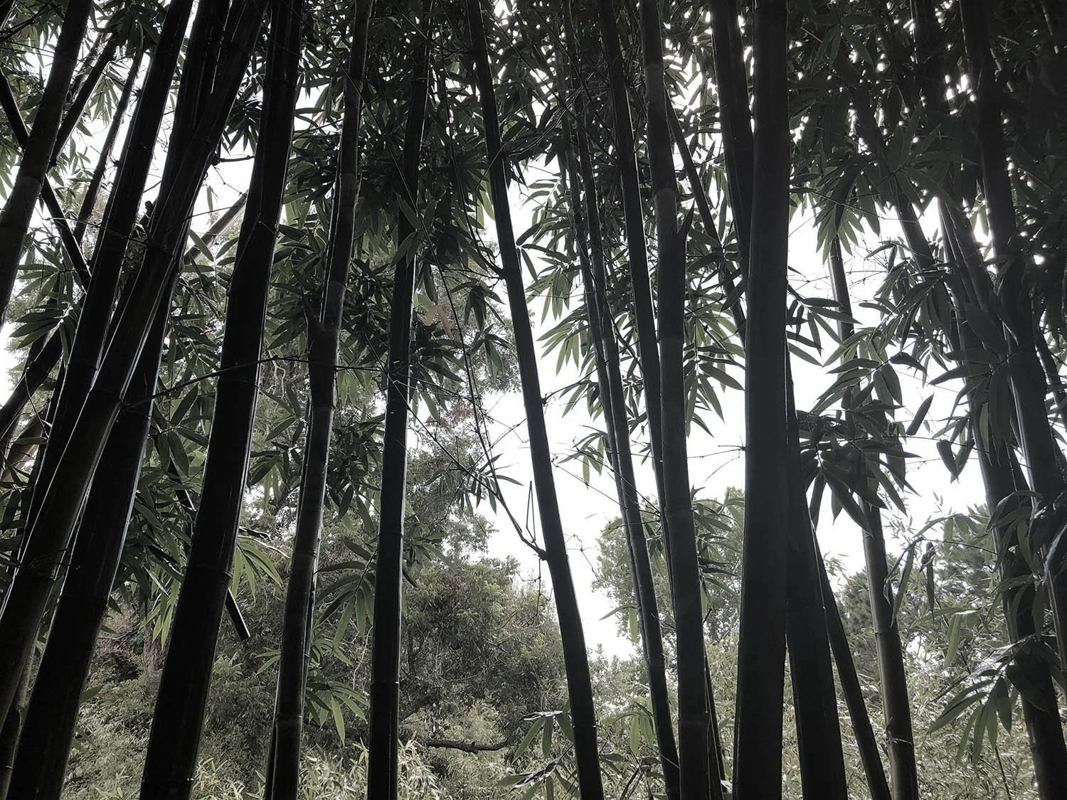 urg install background_desat.jpg