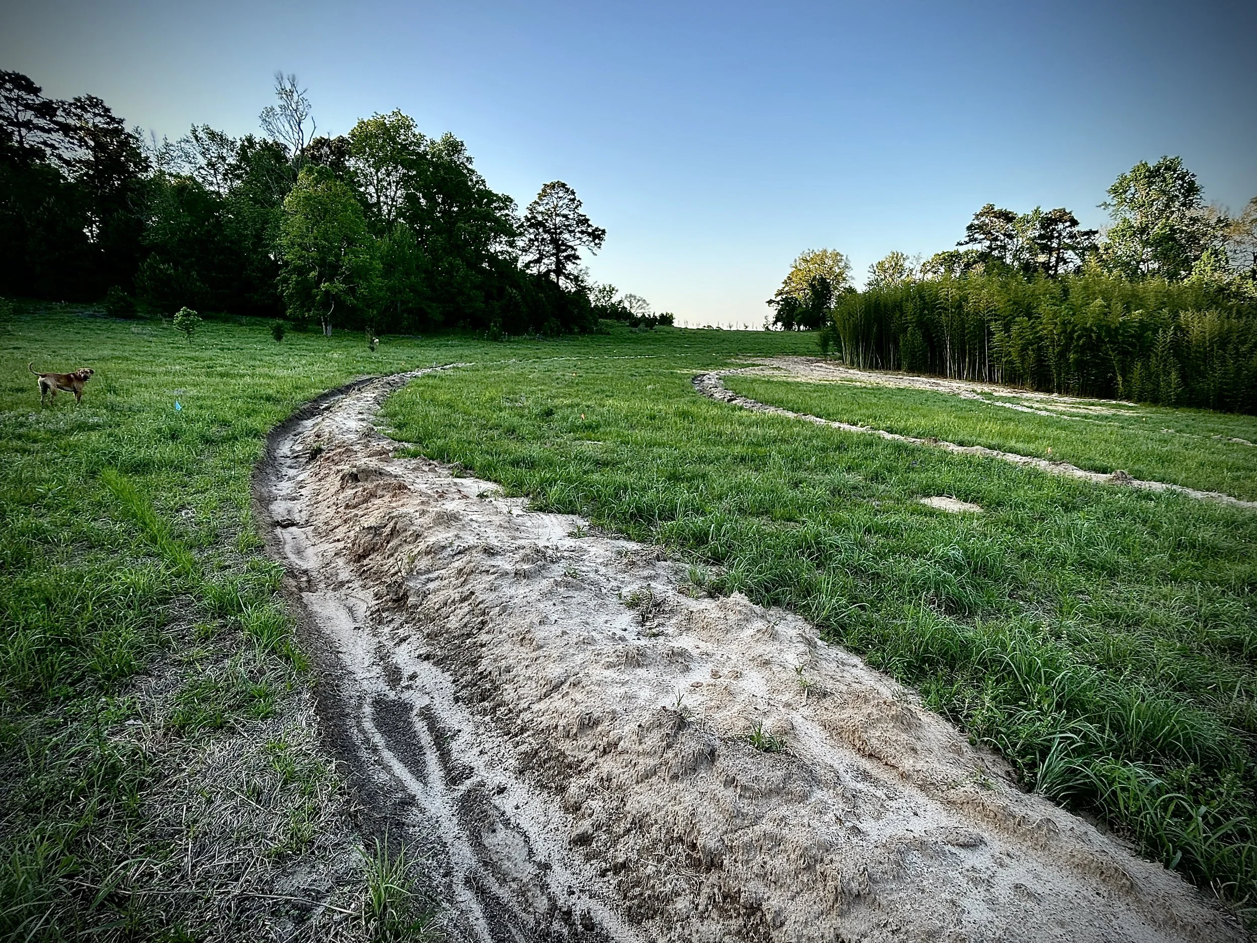 FullSizeRender-preview 2 copy.JPG