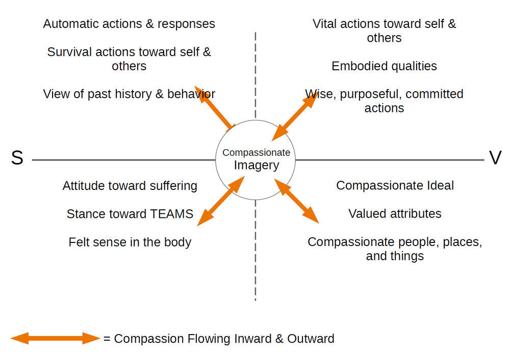CFT Matrix | Compassion Focused Therapy Matrix — Therapy through the ...