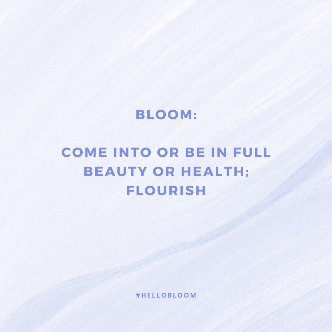 Bloom IG Toolkit 1.jpg