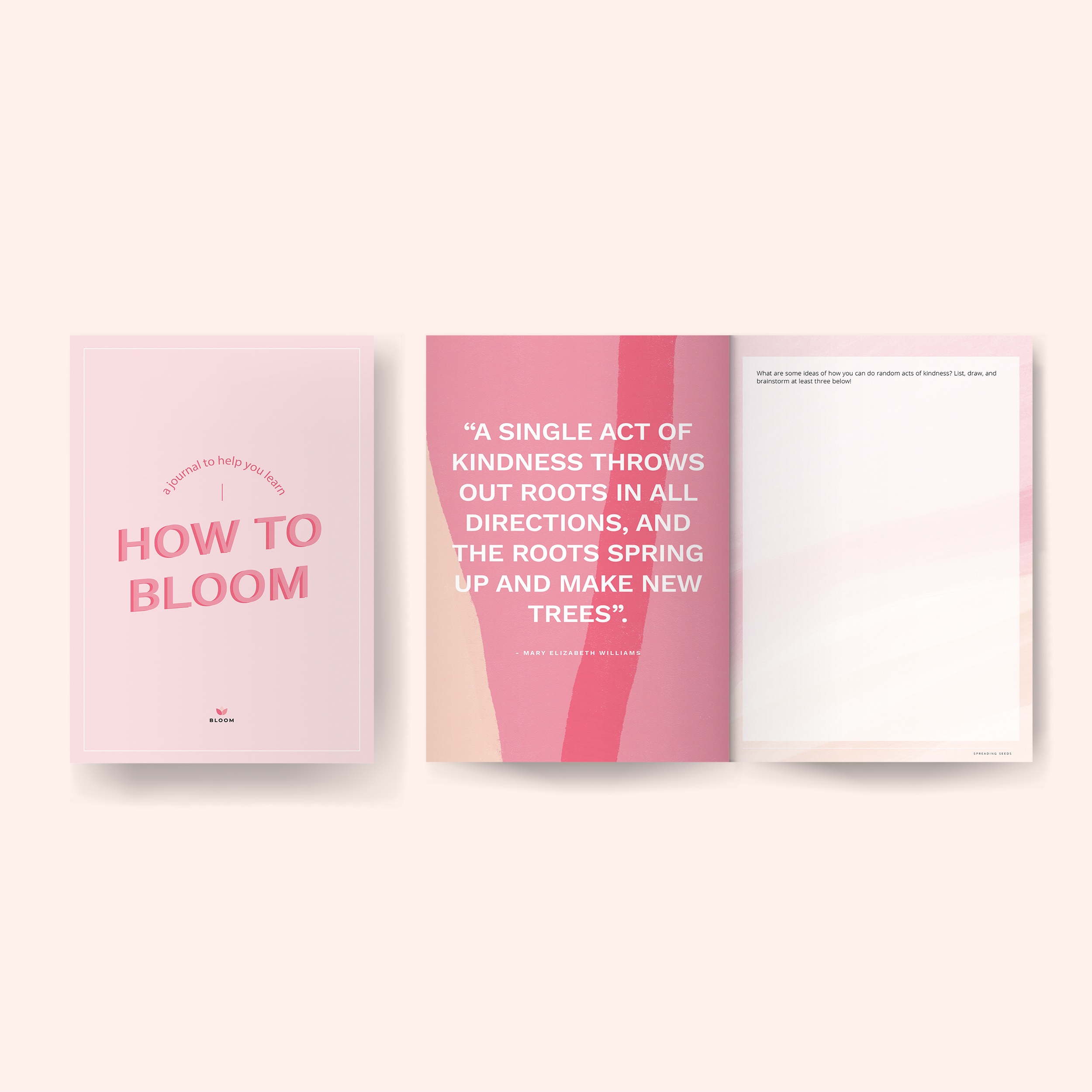 How to Bloom: A Bloom Journal Sneak Peak
