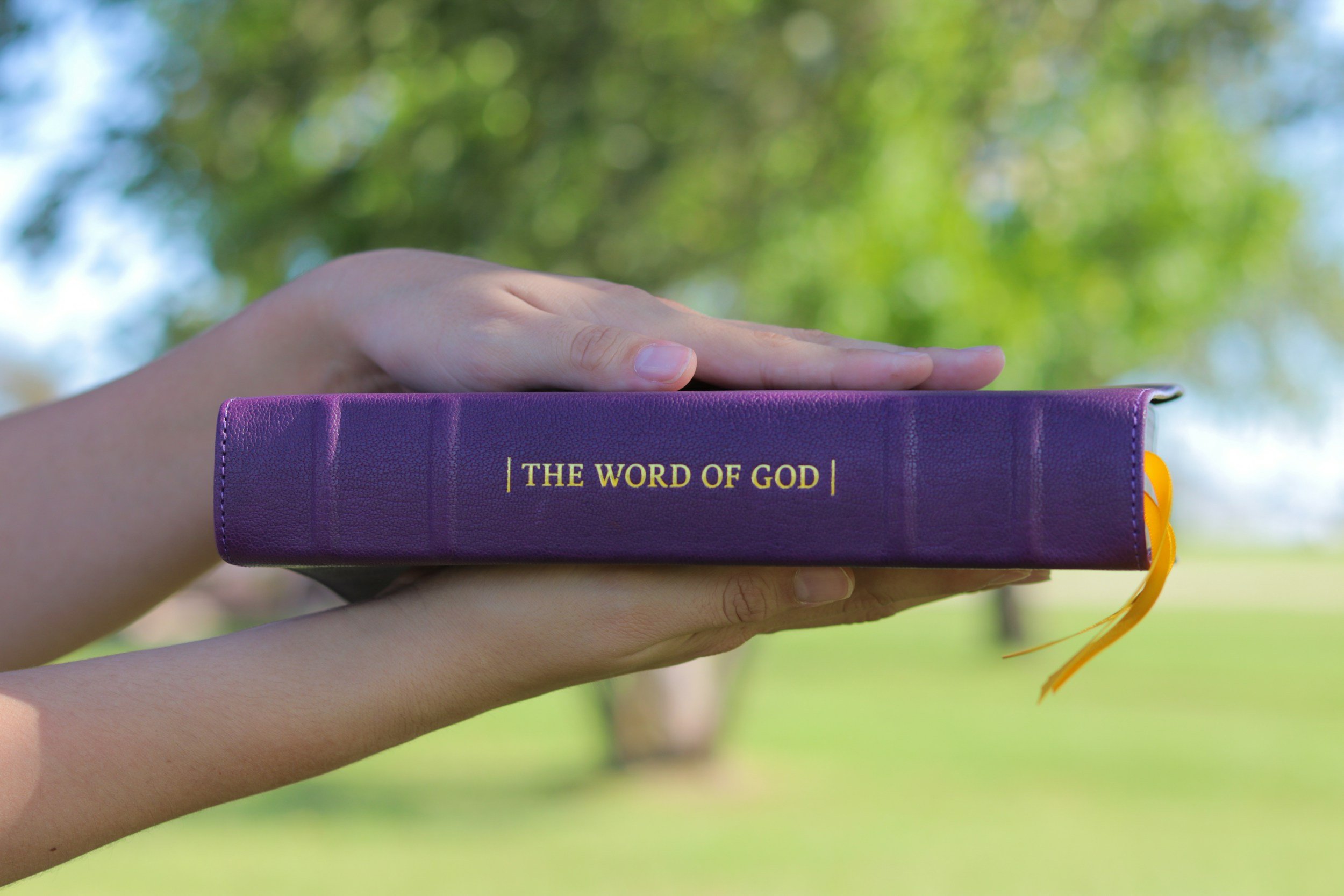 The Word of God