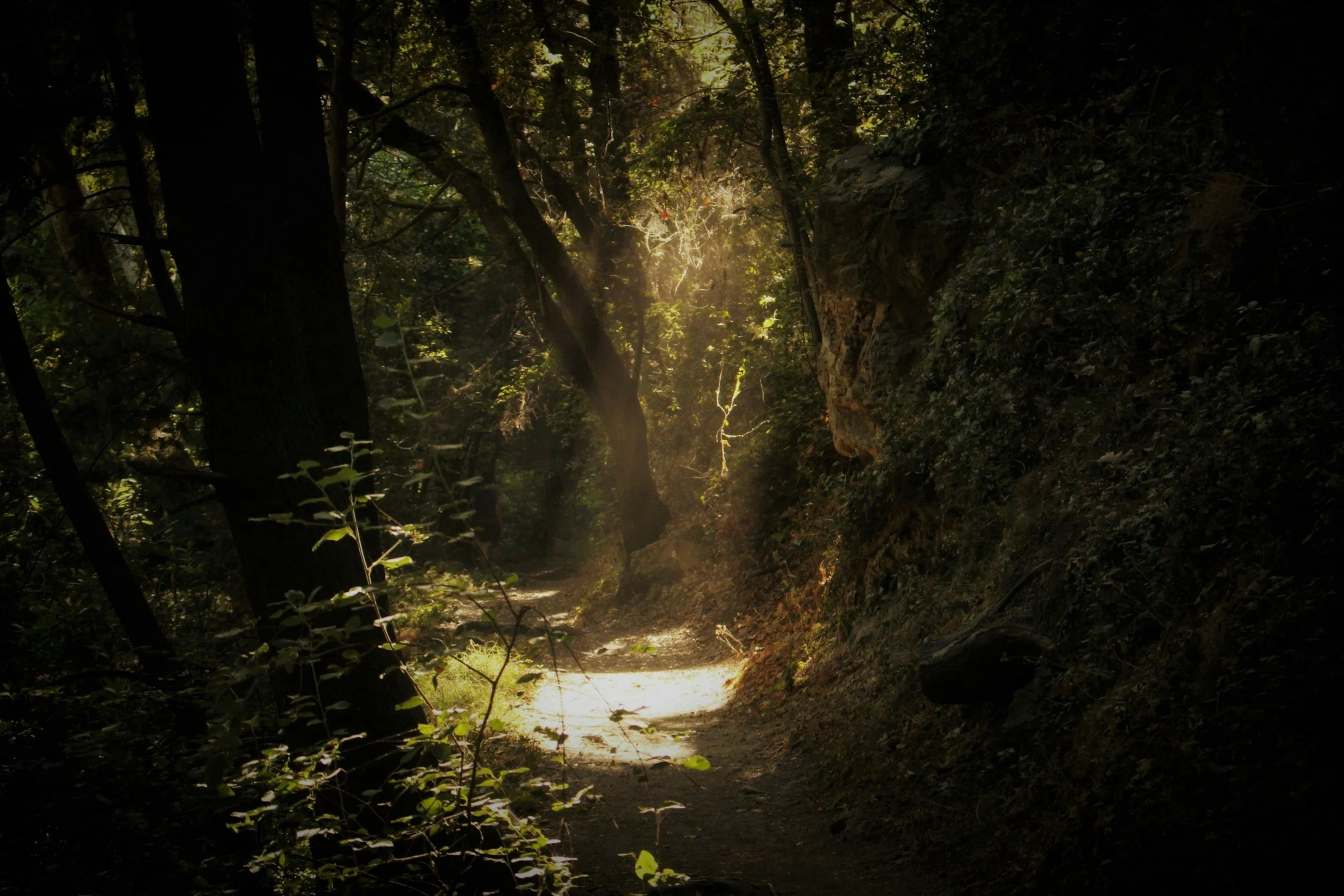 Light in the Darkness