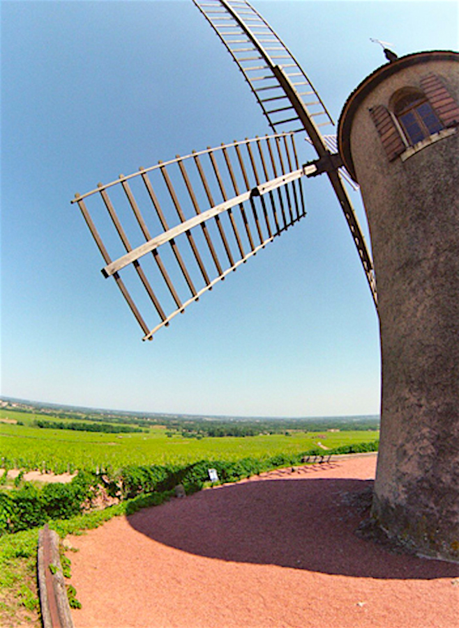 wow-jadot-chateau-des-jacques-moulin-a-vent-windmill