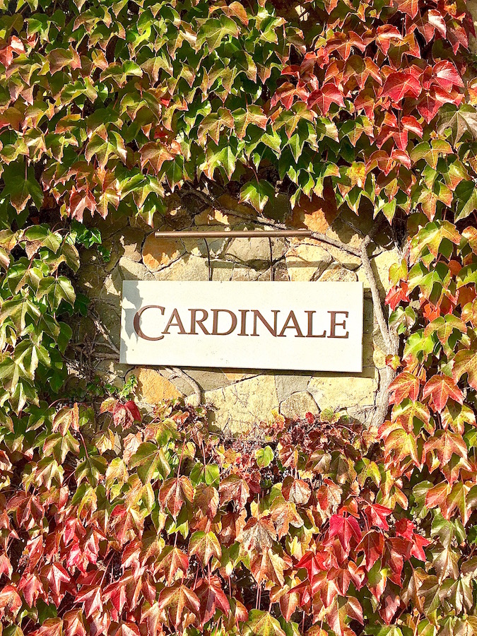 cardinale-stone-sign-fall-leaves