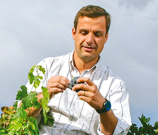 The Wine Atelier Podcast #19: Aurelio Montes Jr., Chief Winemaker of Chile's Viña Montes