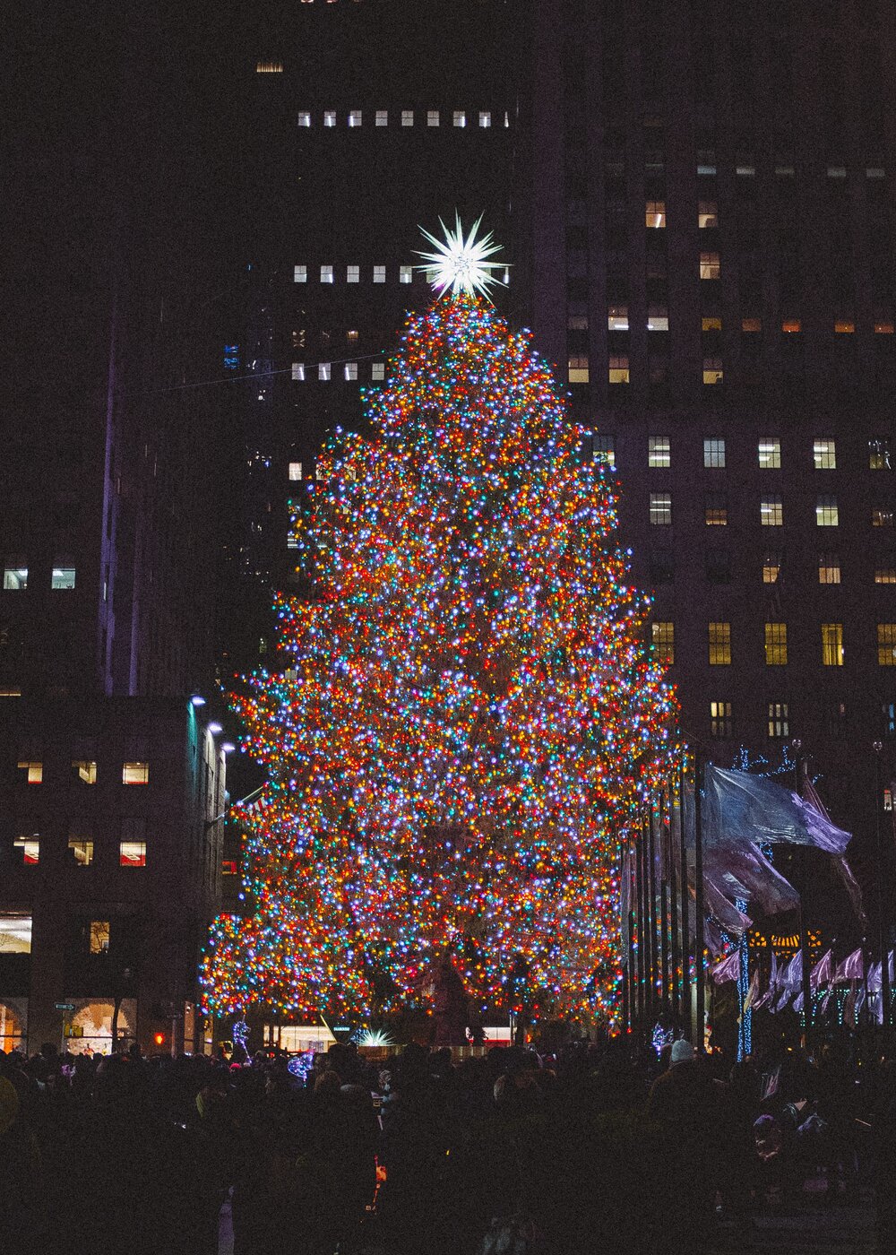 NYC CHRISTMAS TREE .jpg