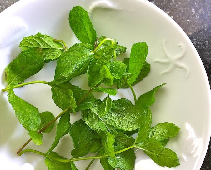 perfect-pairings-lamb-ragu-wine-fresh-mint.jpg