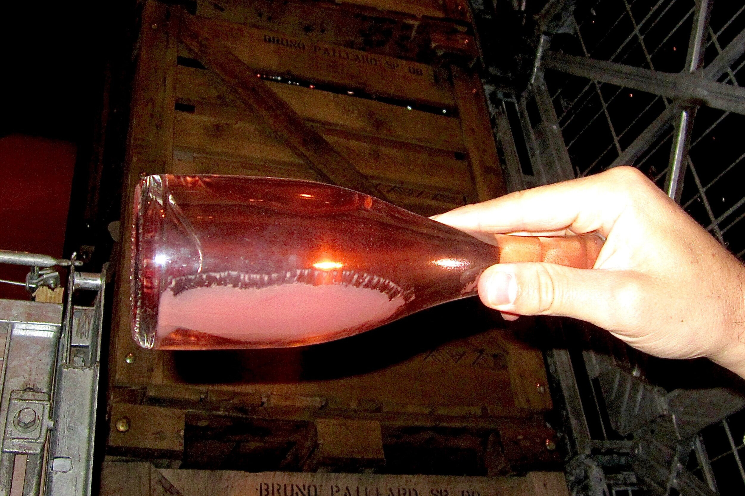 CHAMPAGNE+SEDIMENT+ROSE.jpg