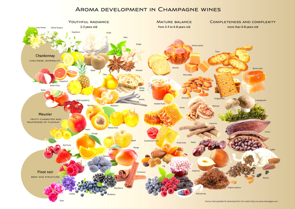 CHAMPAGNE AROMA CHART.jpg