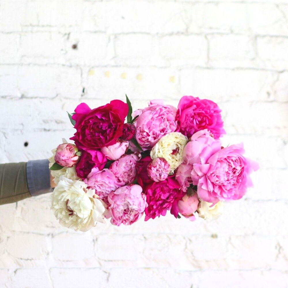 FARMGIRL FLOWERS PEONIES.jpg