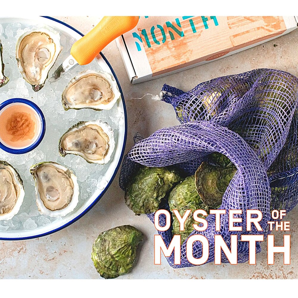 OYSTER OF THE MONTH.jpg