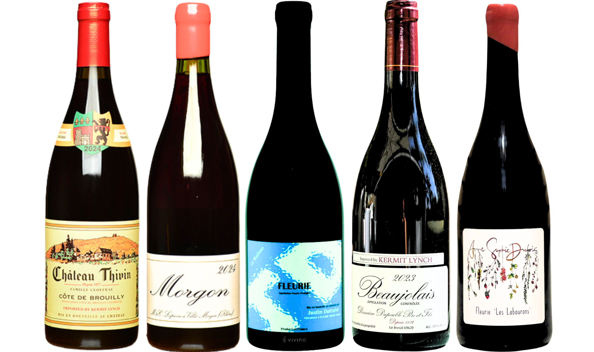 STEPHANIE-MISKEW-GAMAY-BEAUJOLAIS-GUIDE