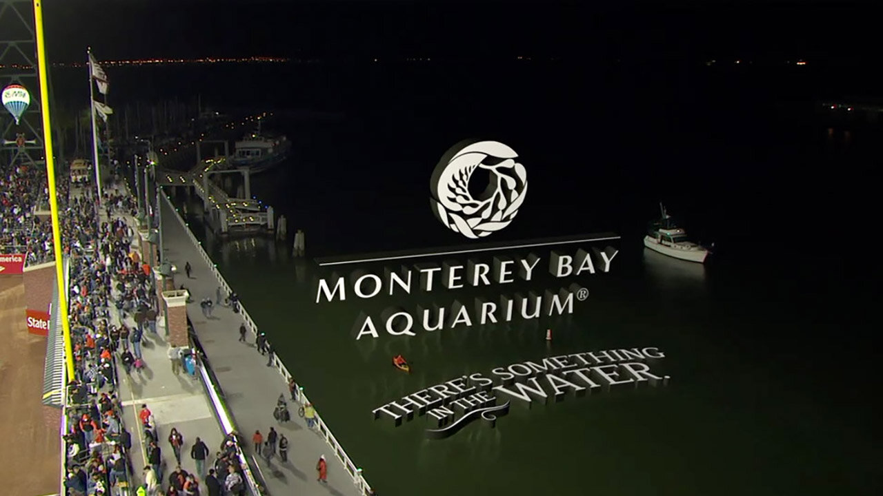 CSN Monterey Bay Aquarium.jpg