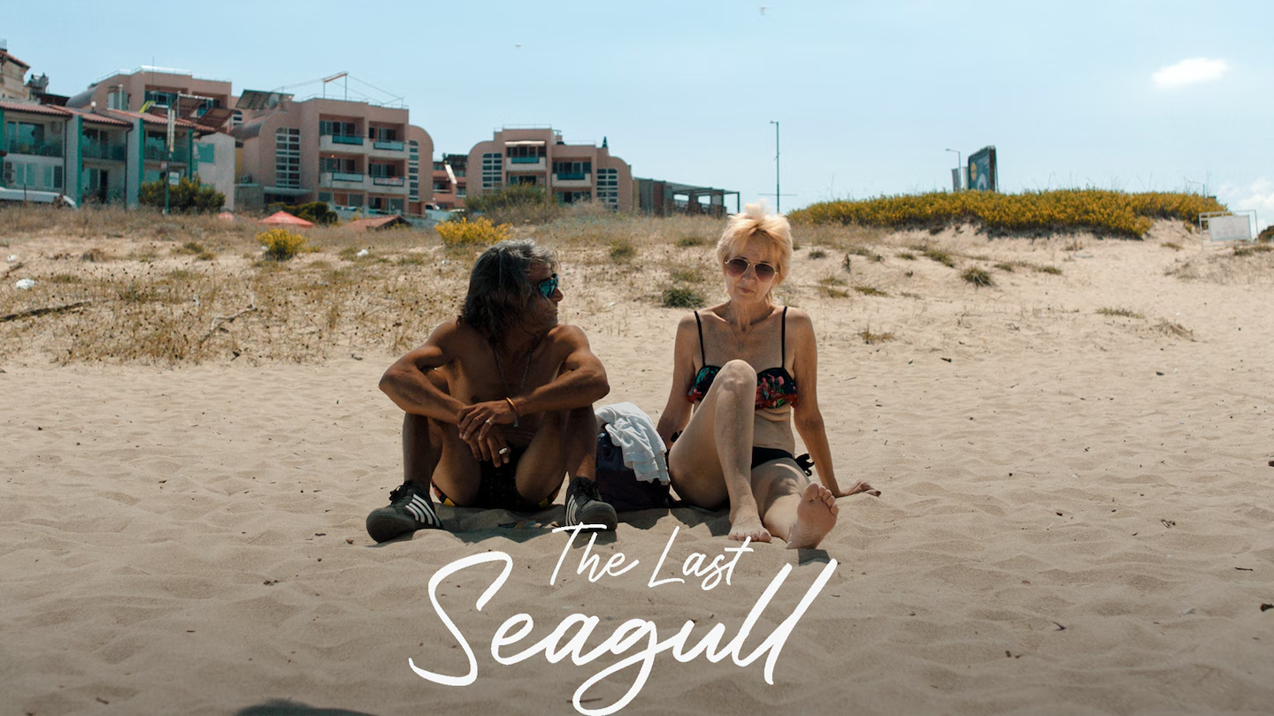 The Last Seagull