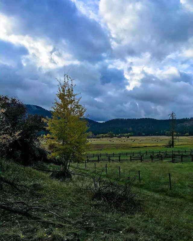 Photos — Moose Valley Ranch