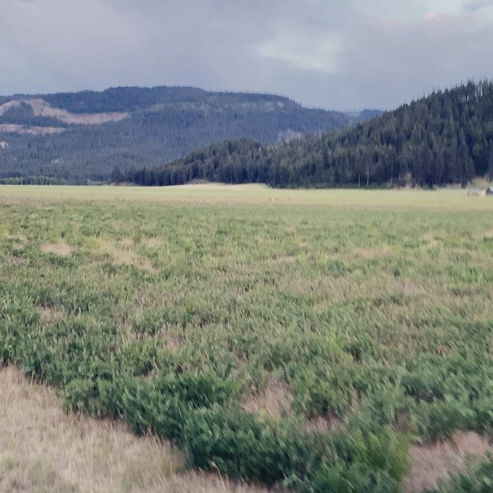 Photos — Moose Valley Ranch