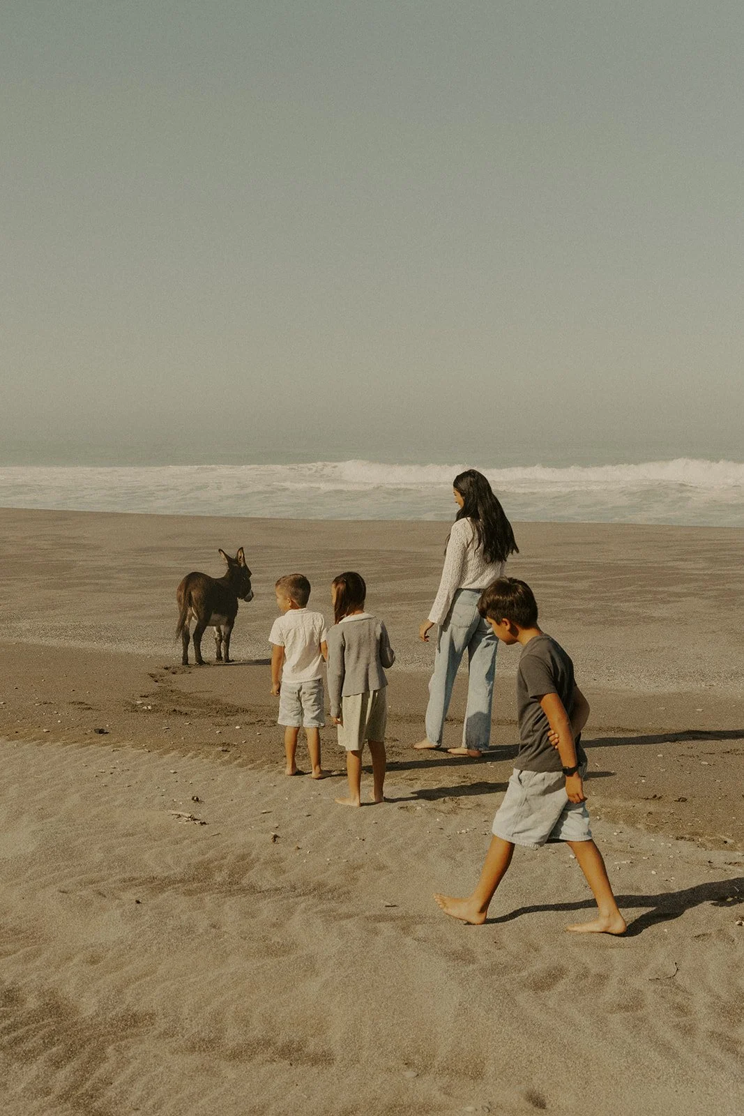 Donkey Hike_-103.jpg